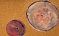 two pieces of paper with a red and blue circle in the middle