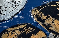 a painting of clams on a blue background